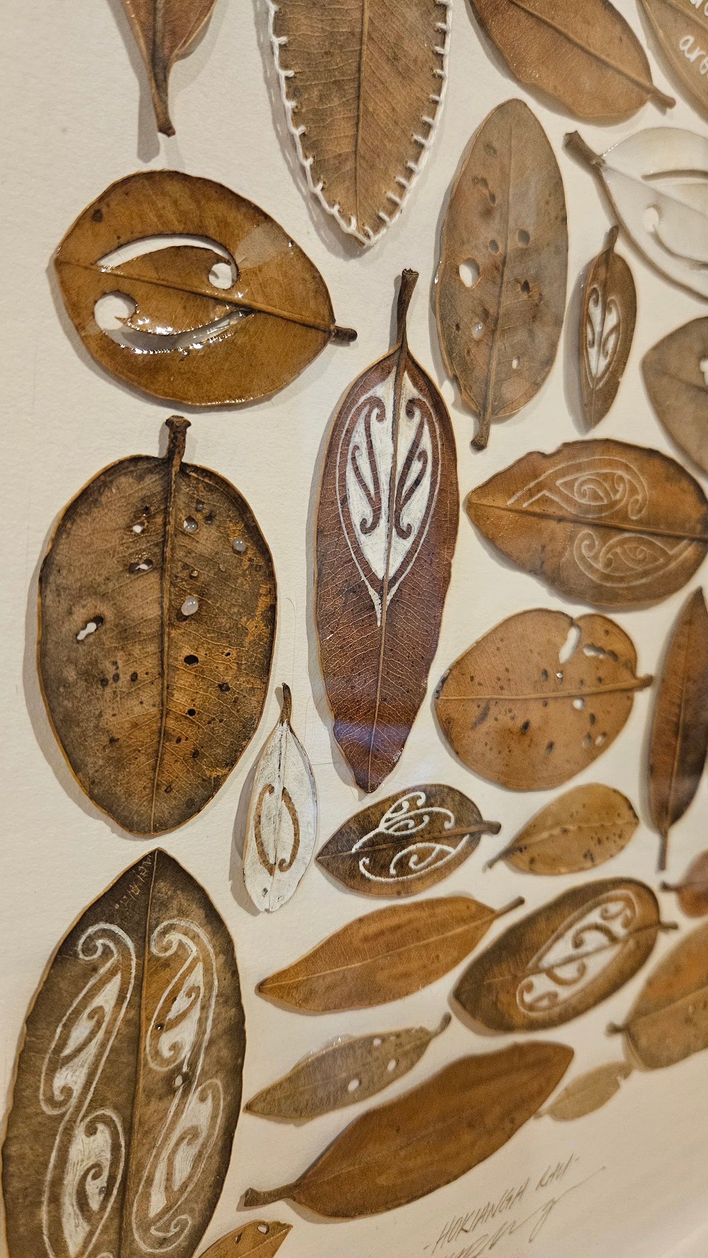 HOKIANGA RAU "AROHA MAI AROHA ATU"