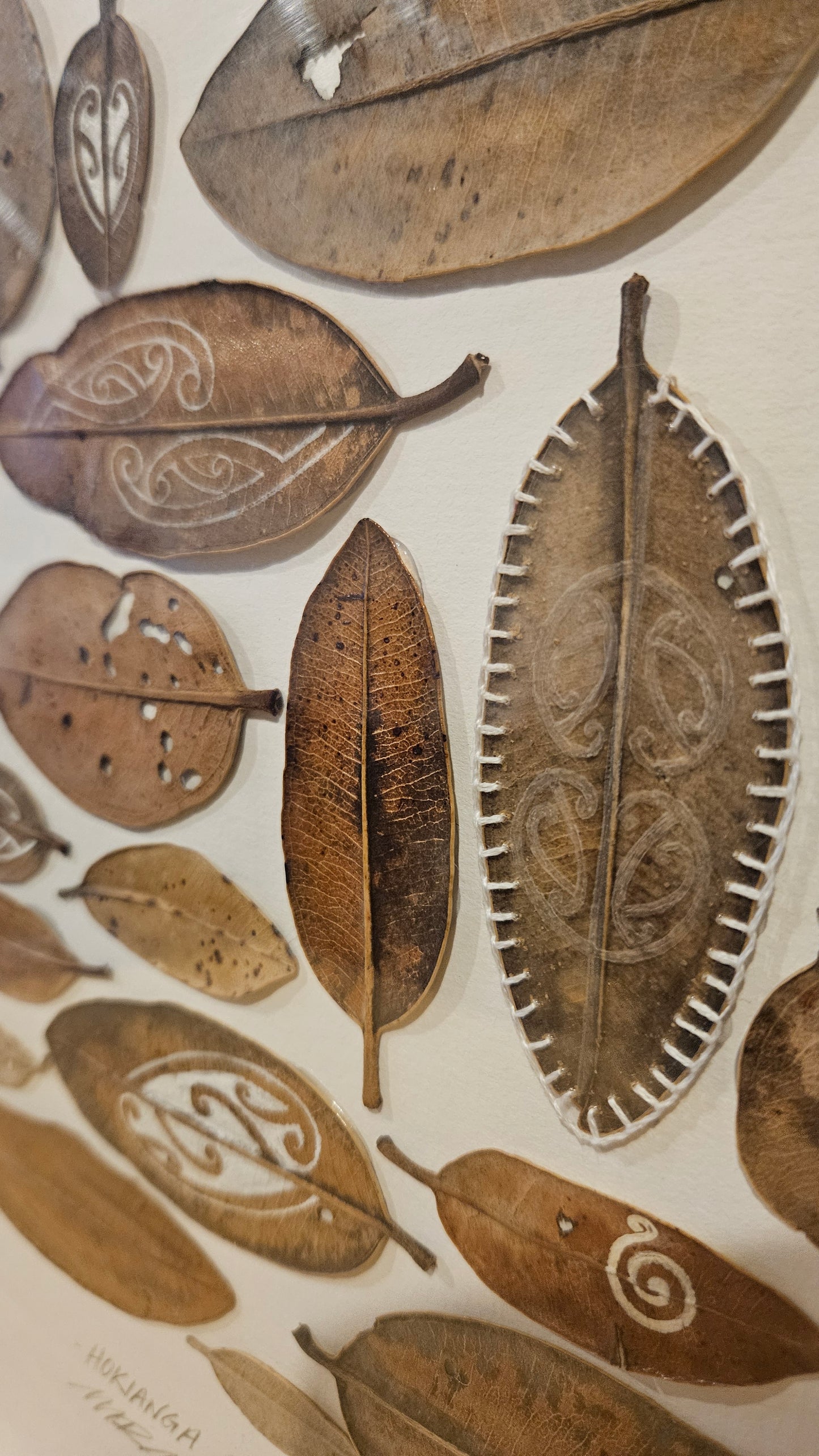 HOKIANGA RAU "AROHA MAI AROHA ATU"